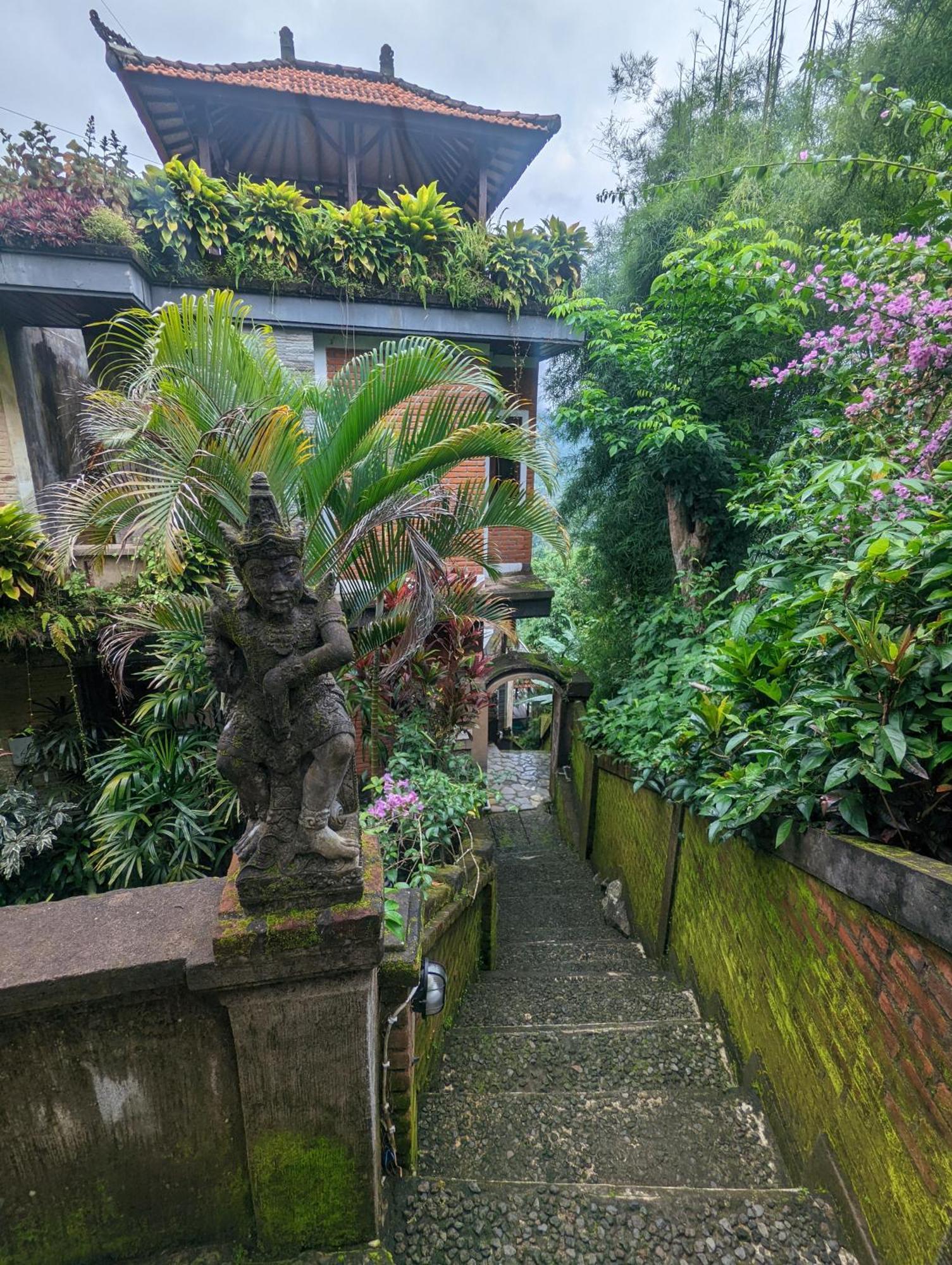 Bali Munduk Delux Bungalow Villa Singaraja  Exterior photo