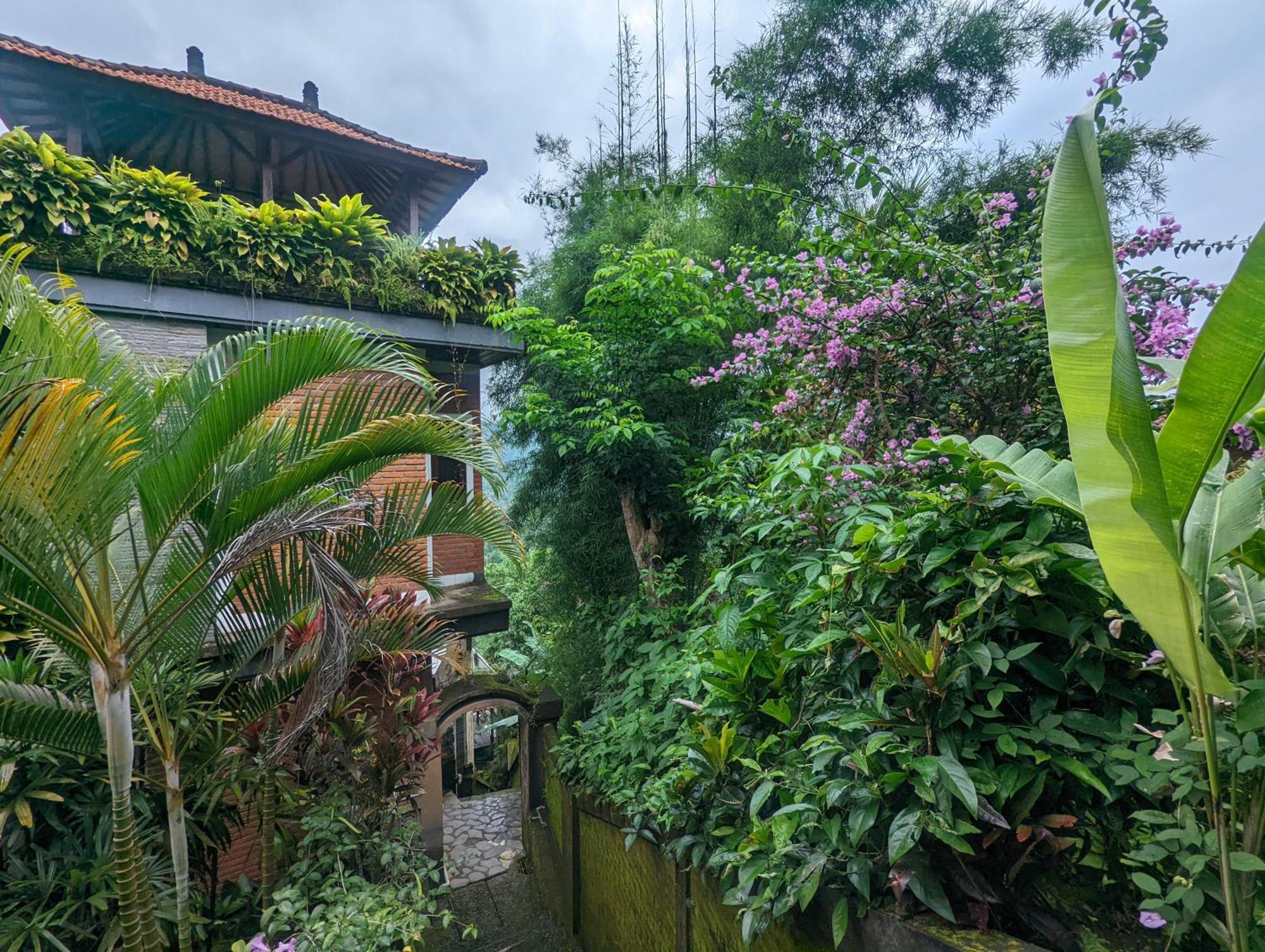 Bali Munduk Delux Bungalow Villa Singaraja  Exterior photo